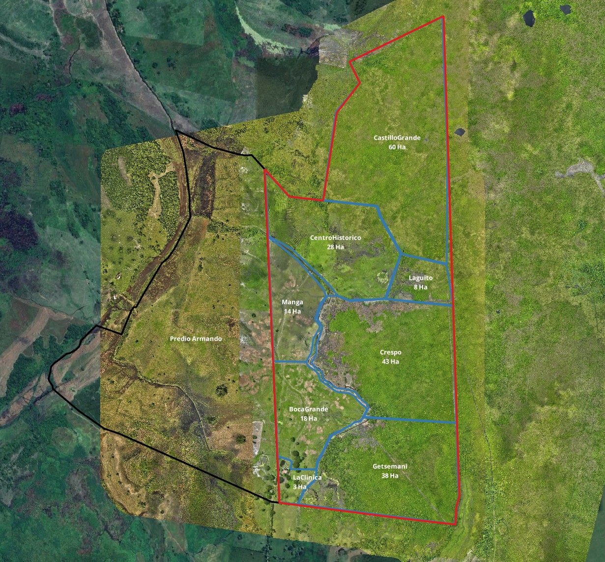 Topografía